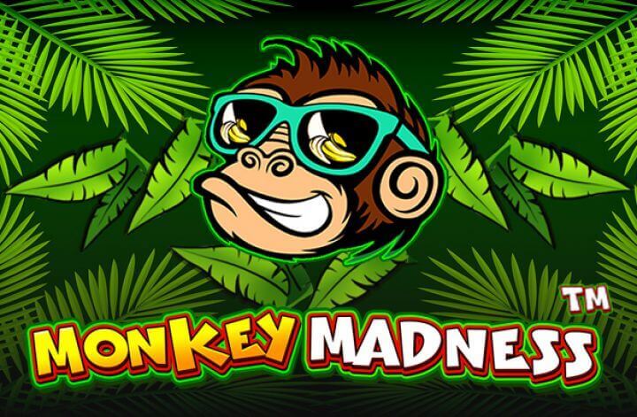 Monkey Madness: Swing Into Slots Excitement!